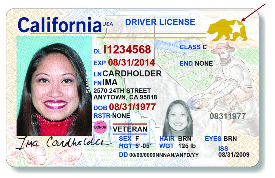 The Department of Motor Vehicles launched the REAL ID in October.