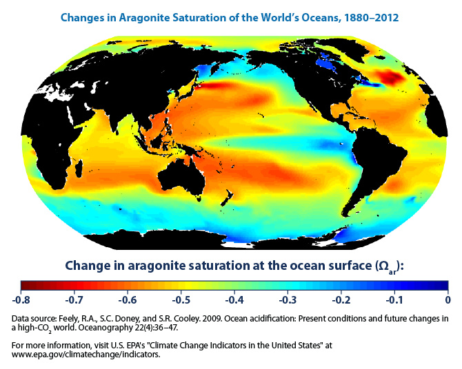 This graphic shows the change in aragonite saturation since 1880.