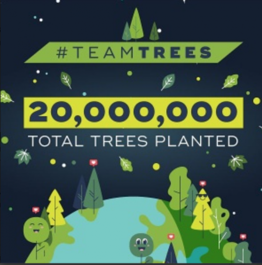 TeamTrees has pledged to plant 20 million trees worldwide by the end of the year. 
