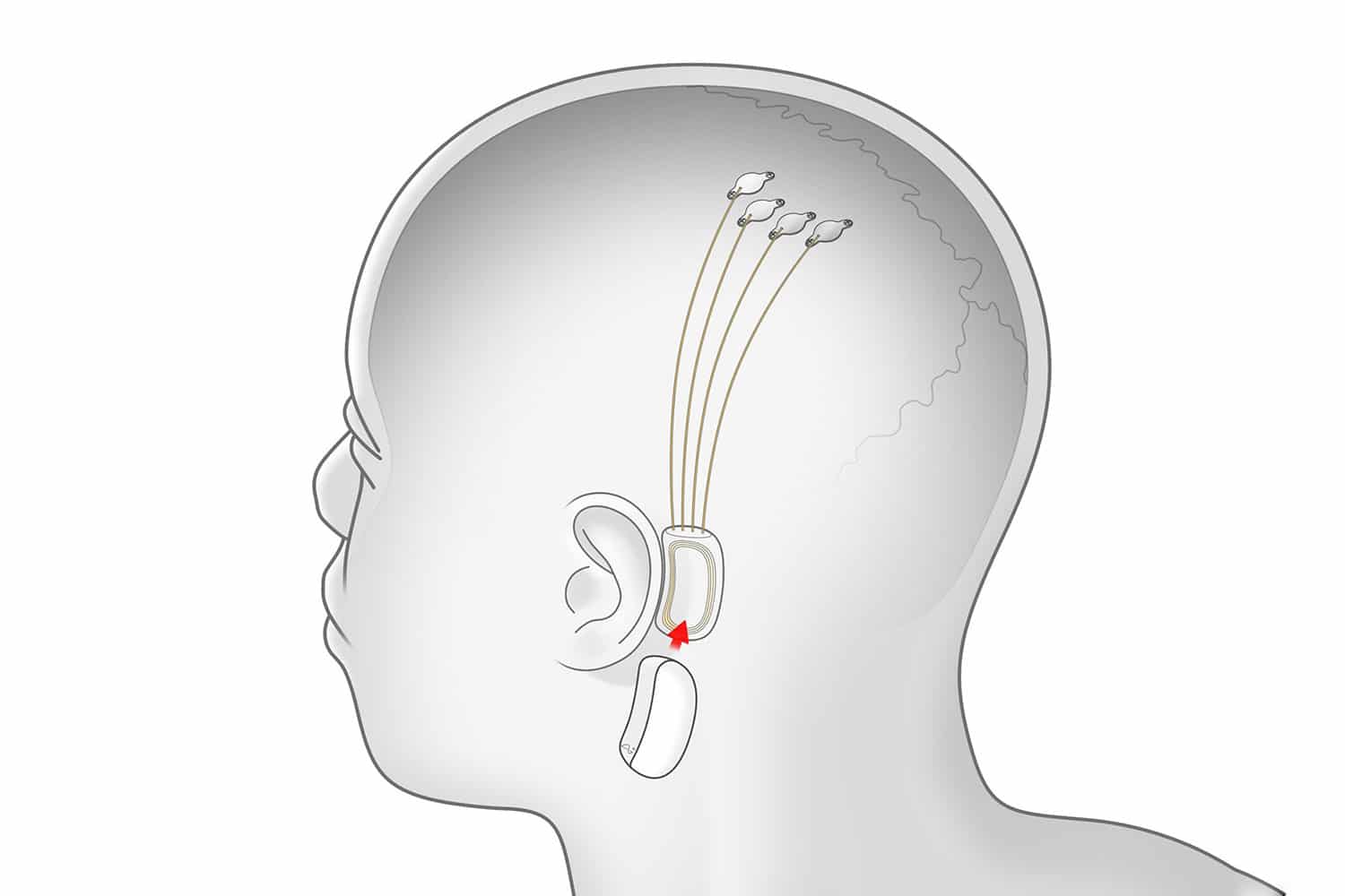 Neuralink.com