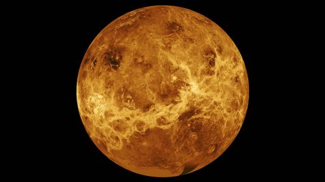 Has there really been a discovery of life on Venus?