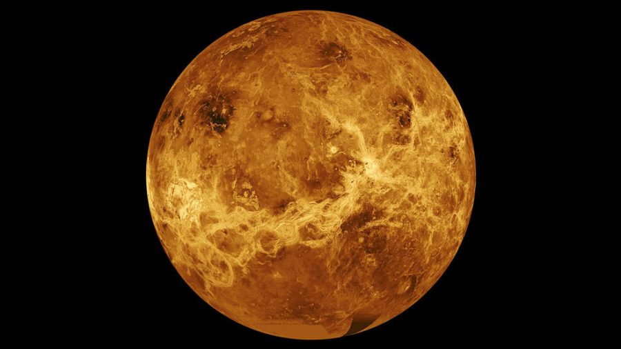 Has+there+really+been+a+discovery+of+life+on+Venus%3F