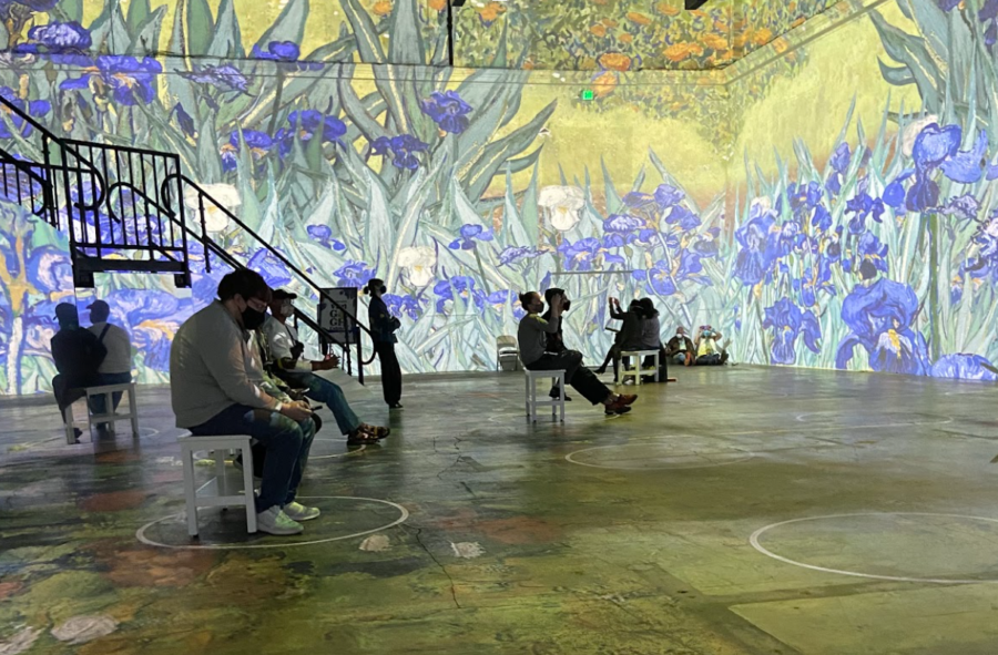 Visitors enjoy the immersive Van Gogh experience.