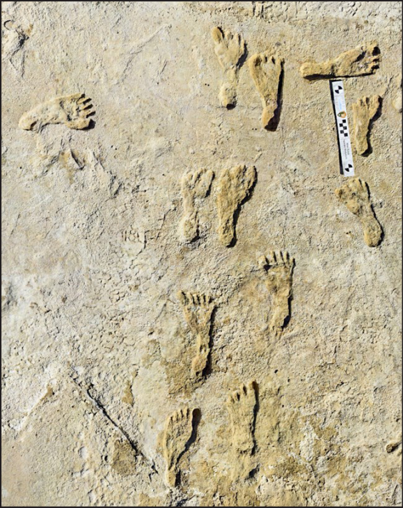 Ancient+footprints%2C+found+in+New+Mexico%2C+are+defying+what+scientists+previously+thought+in+regards+to+human+occupation+of+North+America.