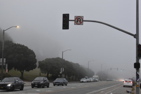 Streets shrouded in fog, like Frida Kahlo Way, remind people of one of the Citys most notable characteristics. Scientists report climate change has caused fog to decline 33 percent over the past 60 years. 