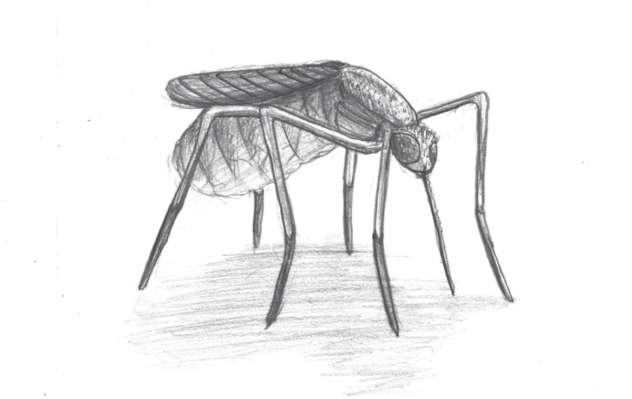 Scientists+hope+to+give+%E2%80%9Cmosquito+magnets%E2%80%9D+some+relief+by+identifying+what+makes+them+so+attractive+to+the+annoying+needle-nosed+insects.
