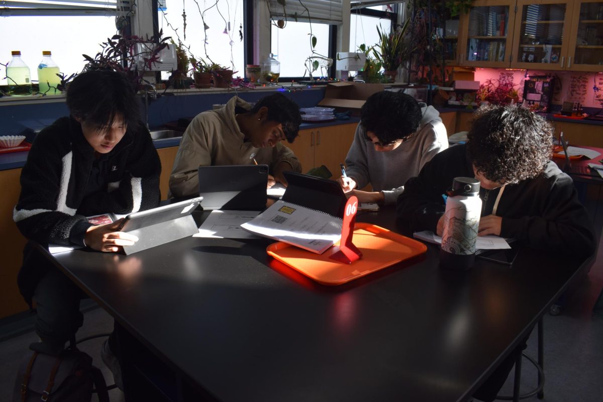 Students work on a science project in room 209 using the new furniture specifically designed for science classrooms. 