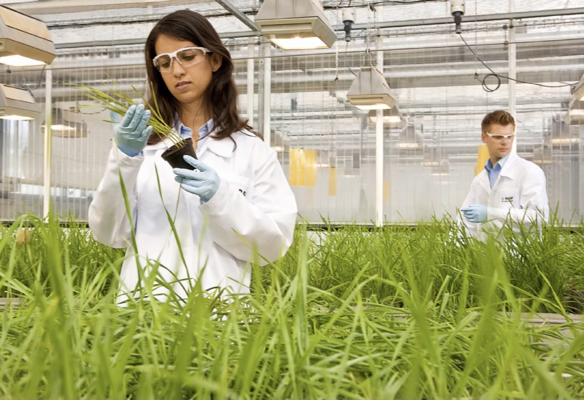 Lab+employees+Maria+Quintero+and+Timo+Striebinger+evaluate+the+success+of+new+active+ingredients+in+crop+protection+products.+Here%2C+BASF+is+conducting+research+on+new+active+ingredients+for+future+innovative+crop+protection+products.+The+aim+is+to+reduce+the+concentration+of+the+test+substances+so+that+farming+has+less+impact+on+the+soil.