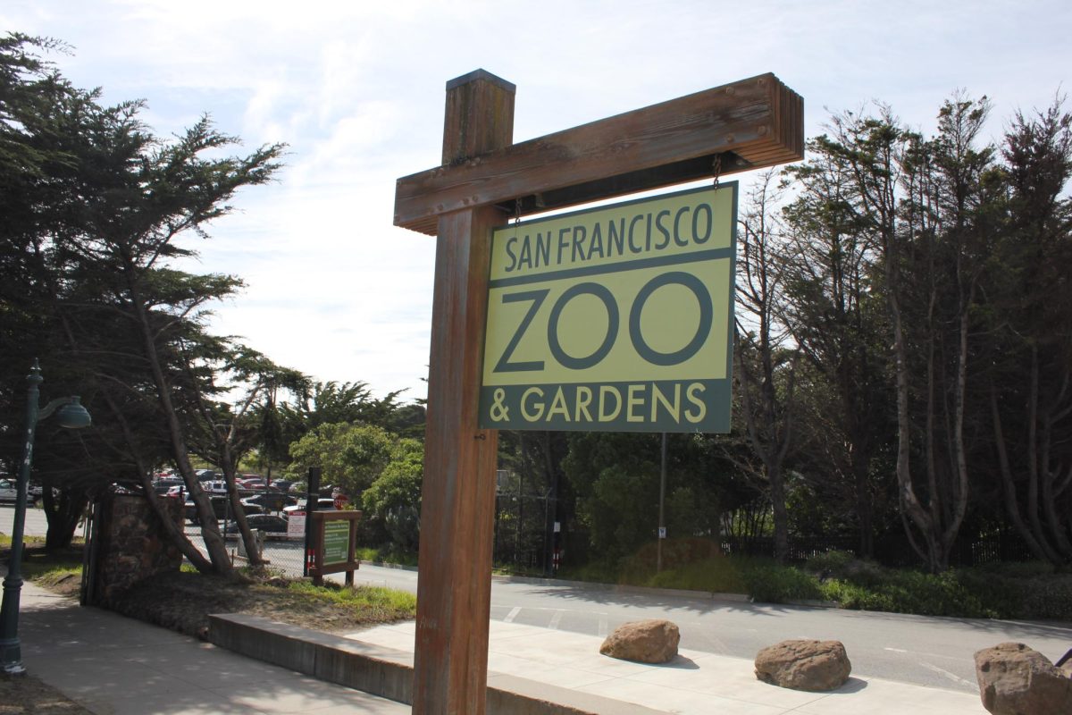 The+San+Francisco+Zoo+on+Sloan+Boulevard+is+celebrating+its+95th+anniversary.