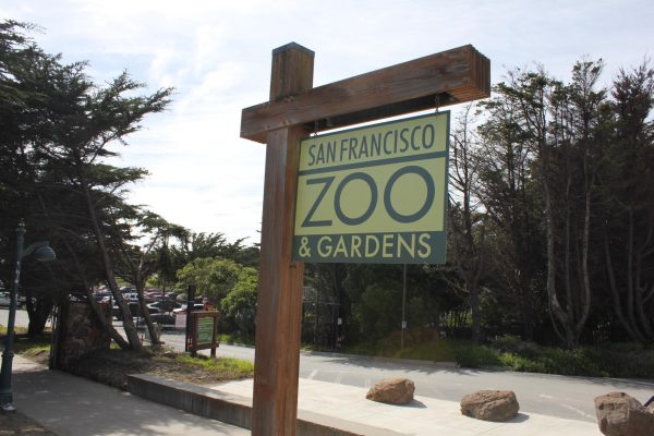 The San Francisco Zoo on Sloan Boulevard is celebrating its 95th anniversary.