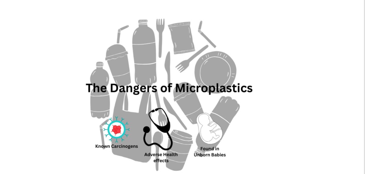 Consumption+of+microplastics+creates+major+concerns