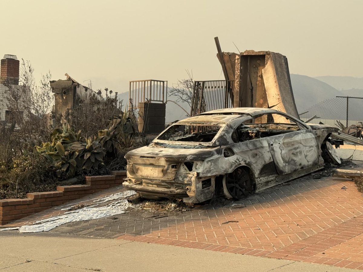 Wildfires ravage Los Angeles