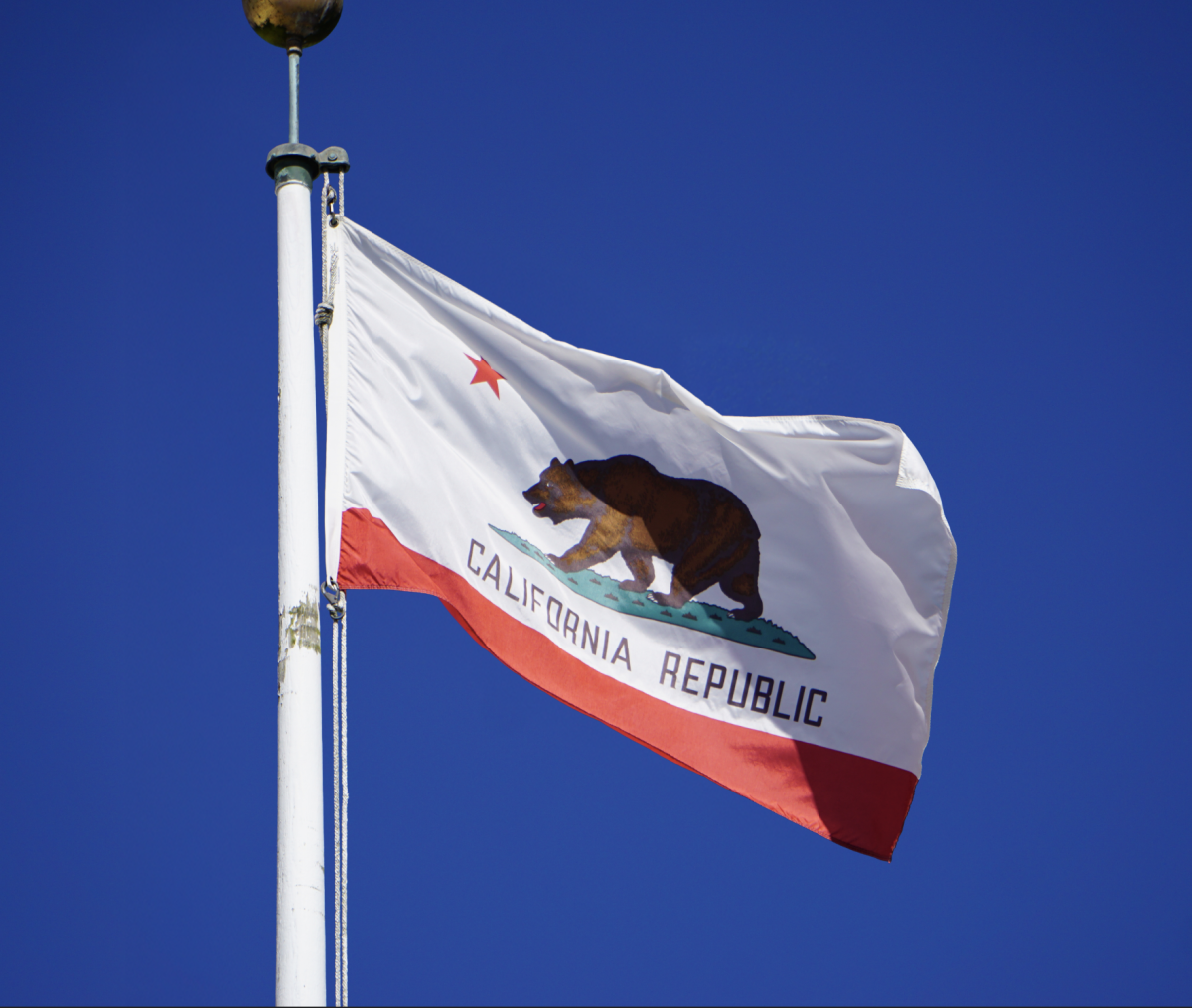 The California state flag waves over a new landscape of governance as more
than 900 new laws take effect this year, including ones governing AI and cats.